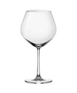 LY SANTE BURGUNDY 635 ml