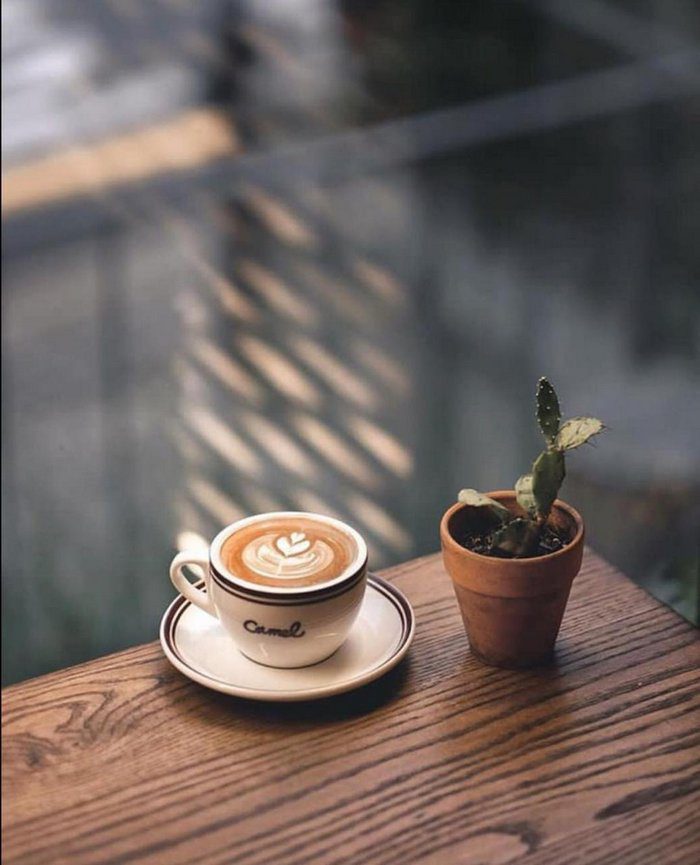 Ảnh ly cà phê chill 22 Ảnh ly cà phê chill 22