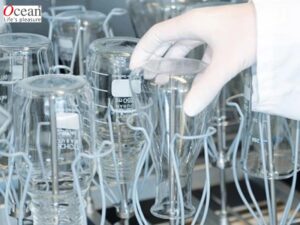 Các ứng dụng của cốc thủy tinh trong phòng thí nghiệm