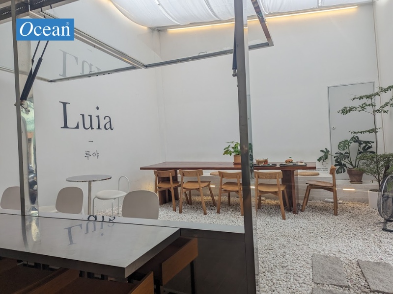 Cafe Luia Cafe Luia