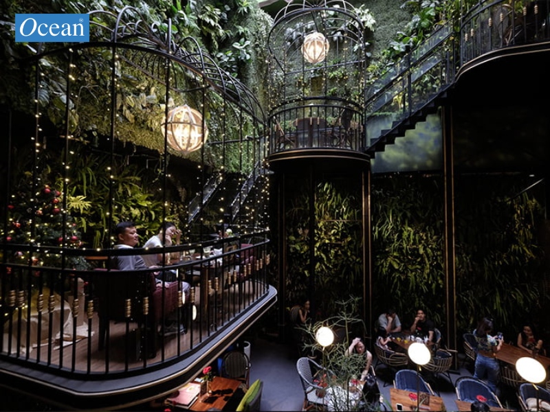 Cafe Terrace Cafe Terrace