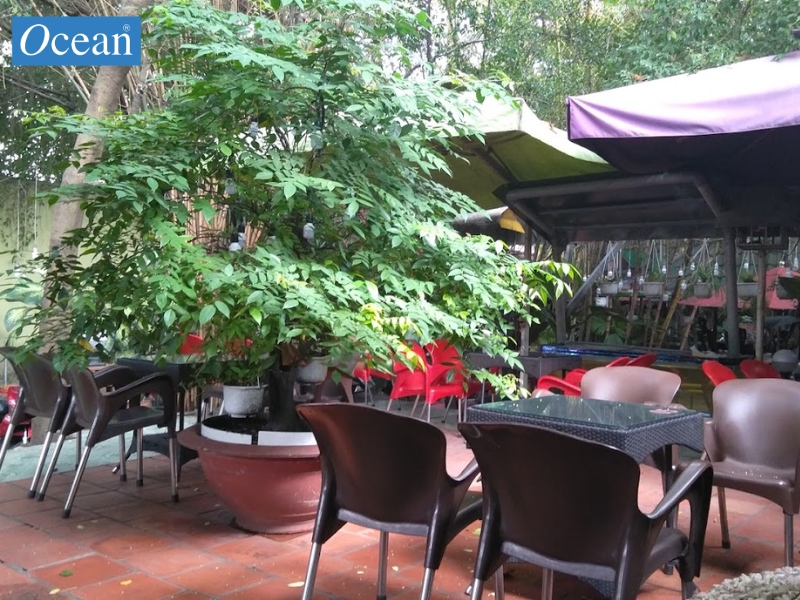 Café Vọng Nguyệt Café Vọng Nguyệt