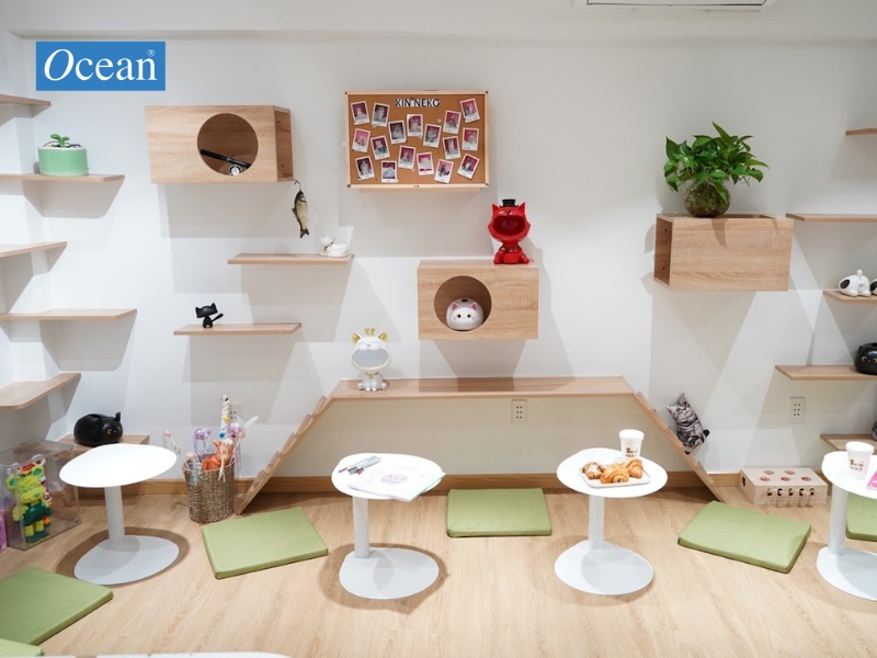 Kuro Cat Coffee Kuro Cat Coffee