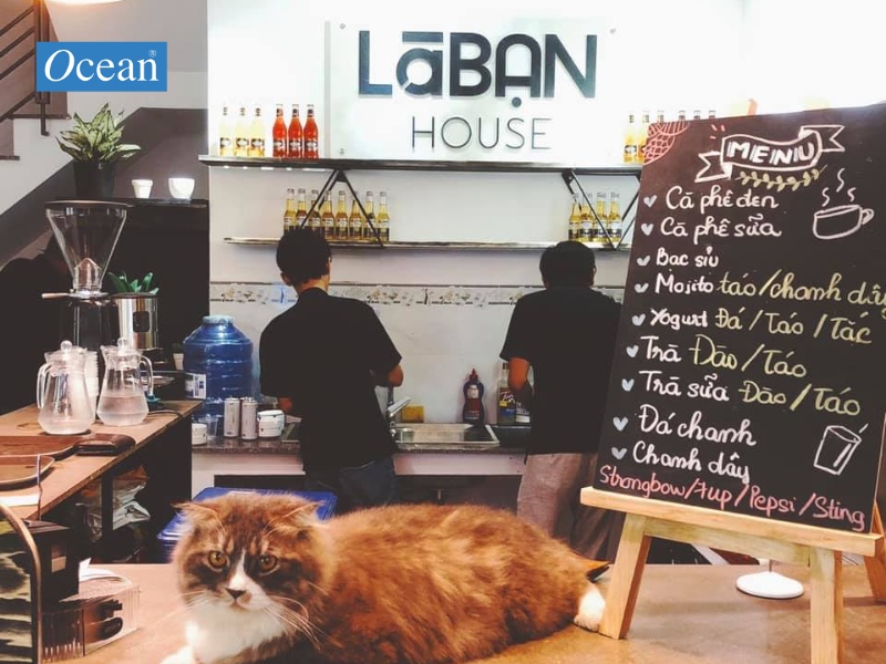 Là Bạn House Là Bạn House
