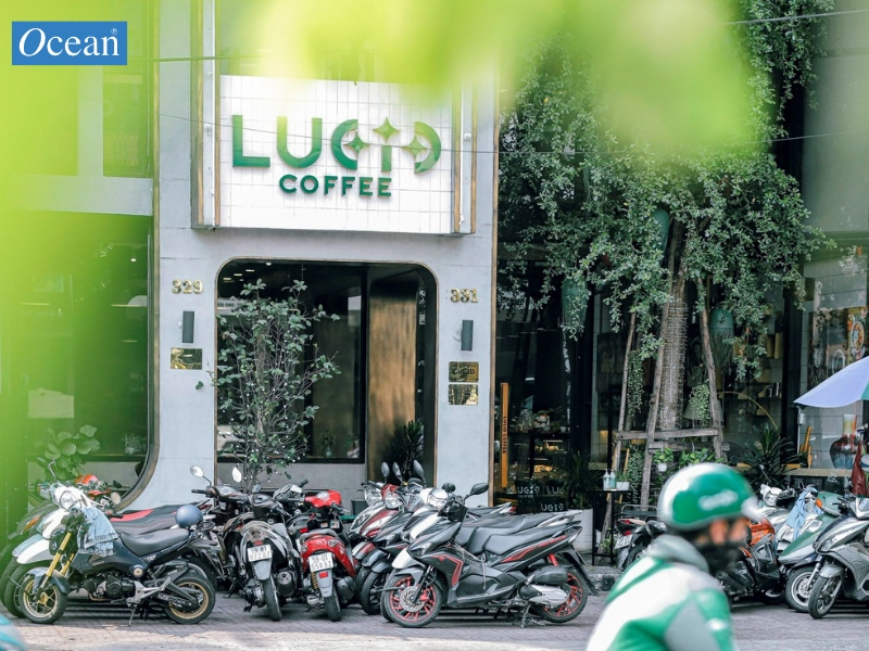 Lucid Coffee & Tea Lucid Coffee & Tea