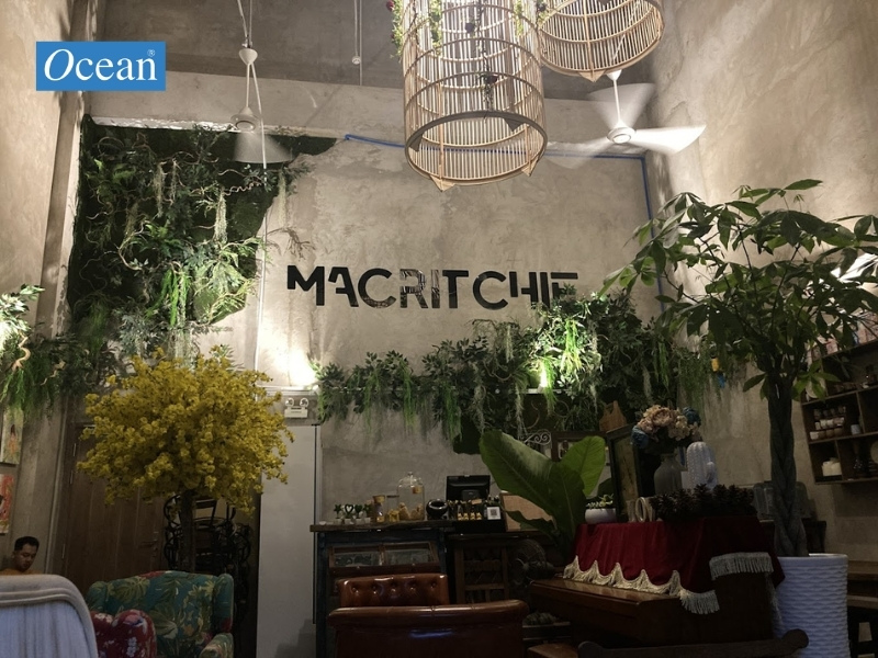 Macritchie Coffee and Music Macritchie Coffee and Music