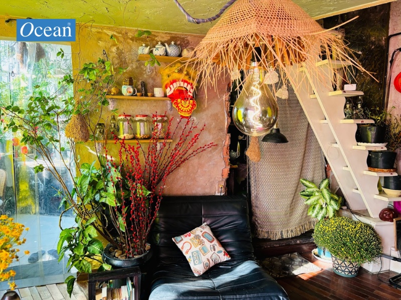 Mơ Đi Hội Mơ Đi Hội