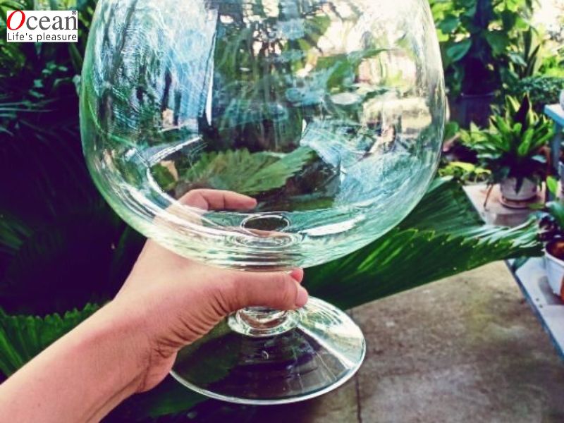 Những Công Dụng Tuyệt Vời Của Ly Thủy Tinh Khổng Lồ Những Công Dụng Tuyệt Vời Của Ly Thủy Tinh Khổng Lồ