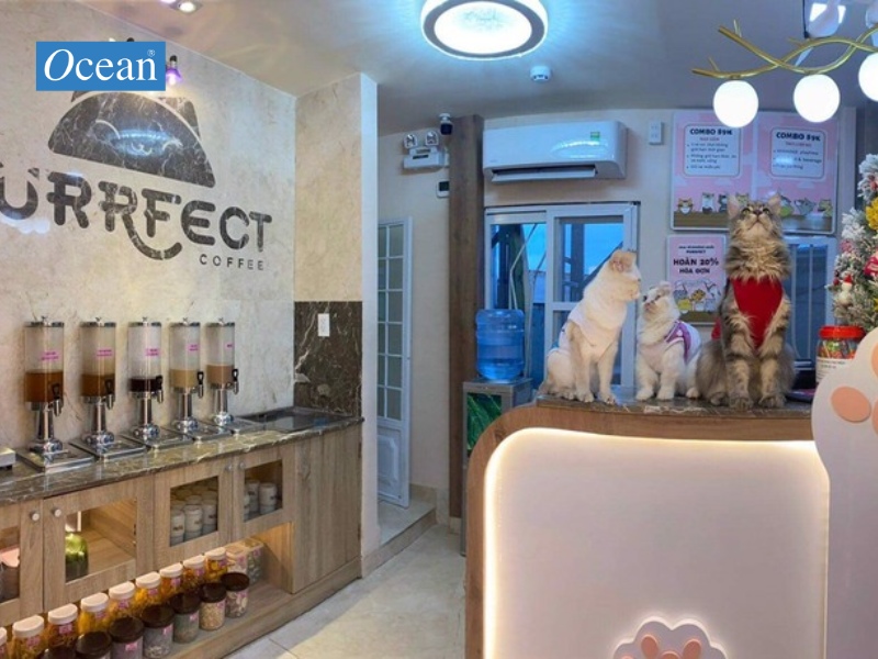 Purrfect Coffee Purrfect Coffee
