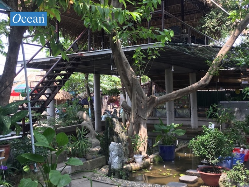 Quán Cafe Tí Chơi Quán Cafe Tí Chơi
