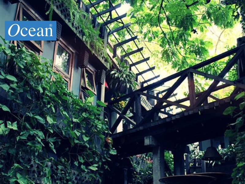 Quán cafe Trầm Quán cafe Trầm