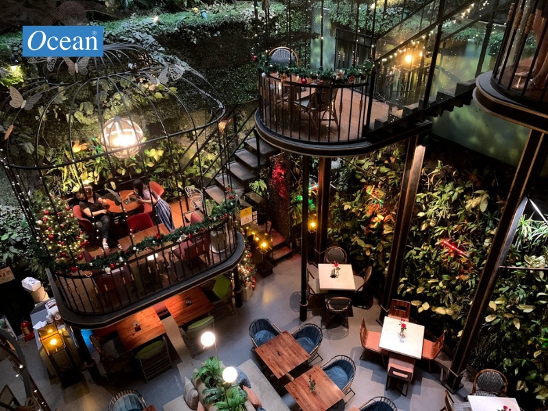 Terrace Cafe Terrace Cafe