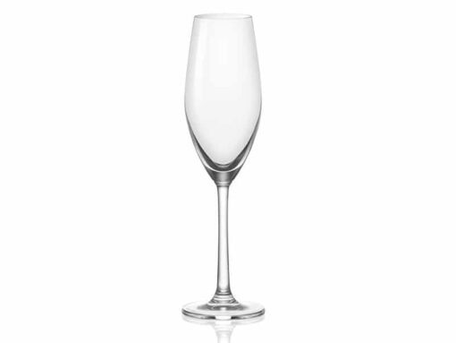 Ly Thủy Tinh SANTE CHAMPAGNE - 210ML chính hãng Ocean
