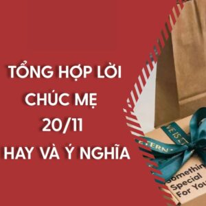 Ngày Nhà Giáo Việt Nam 2011 Và Ý Nghĩa Đối Với Mẹ
