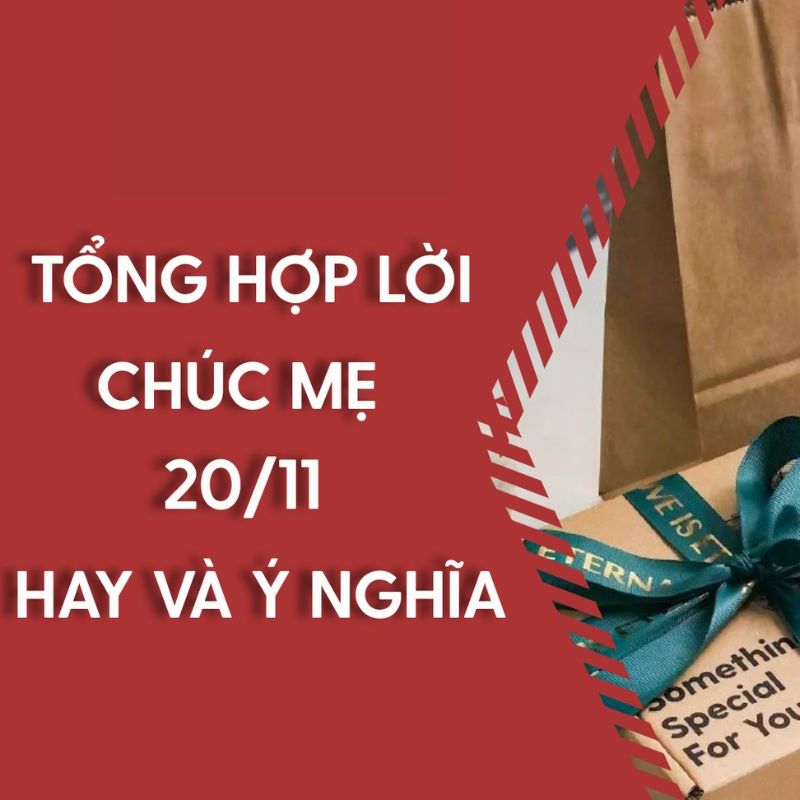 Ngày Nhà Giáo Việt Nam 20/11 Và Ý Nghĩa Đối Với Mẹ Ngày Nhà Giáo Việt Nam 20/11 Và Ý Nghĩa Đối Với Mẹ
