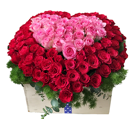 hình ảnh 20/10 đẹp nhất