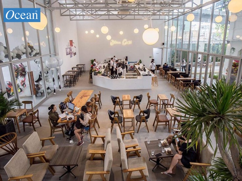 Ollin Café Ollin Café