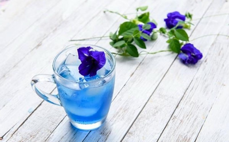Cách Làm Trà Hoa Đậu Biếc Mật Ong Cách Làm Trà Hoa Đậu Biếc Mật Ong