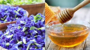 Nguyên Liệu Cần Chuẩn Bị Trà hoa đậu biếc